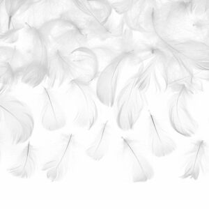Piume Decorative Bianche in confezione da 3 grammi *